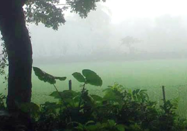 Biniyougbarta | বিনিয়োগবার্তা: ব্যবসা-বাণিজ্য, শিল্প-বিনিয়োগের খবর প্রতিদিন সবসময়