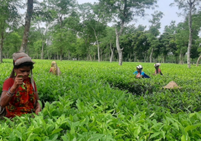 Biniyougbarta | বিনিয়োগবার্তা: ব্যবসা-বাণিজ্য, শিল্প-বিনিয়োগের খবর প্রতিদিন সবসময়