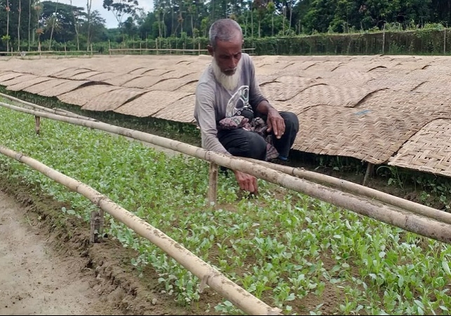 Biniyougbarta | বিনিয়োগবার্তা: ব্যবসা-বাণিজ্য, শিল্প-বিনিয়োগের খবর প্রতিদিন সবসময়