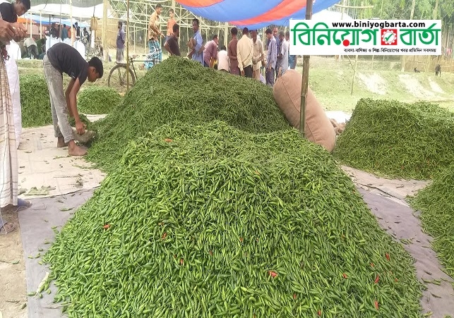 Biniyougbarta | বিনিয়োগবার্তা: ব্যবসা-বাণিজ্য, শিল্প-বিনিয়োগের খবর প্রতিদিন সবসময়