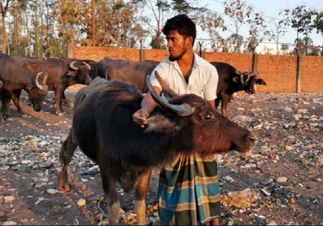 Biniyougbarta | বিনিয়োগবার্তা: ব্যবসা-বাণিজ্য, শিল্প-বিনিয়োগের খবর প্রতিদিন সবসময়