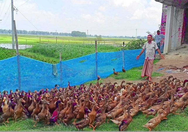 Biniyougbarta | বিনিয়োগবার্তা: ব্যবসা-বাণিজ্য, শিল্প-বিনিয়োগের খবর প্রতিদিন সবসময়