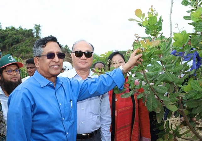 Biniyougbarta | বিনিয়োগবার্তা: ব্যবসা-বাণিজ্য, শিল্প-বিনিয়োগের খবর প্রতিদিন সবসময়