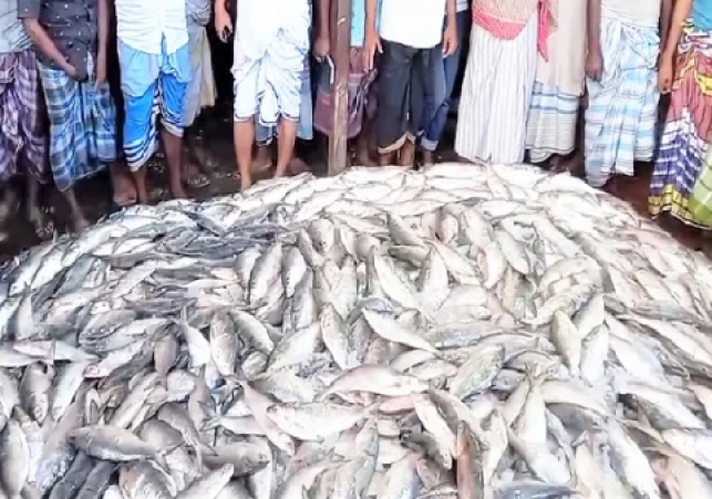 Biniyougbarta | বিনিয়োগবার্তা: ব্যবসা-বাণিজ্য, শিল্প-বিনিয়োগের খবর প্রতিদিন সবসময়