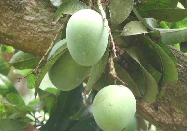 Biniyougbarta | বিনিয়োগবার্তা: ব্যবসা-বাণিজ্য, শিল্প-বিনিয়োগের খবর প্রতিদিন সবসময়