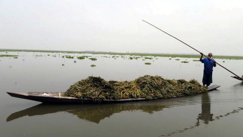 Biniyougbarta | বিনিয়োগবার্তা: ব্যবসা-বাণিজ্য, শিল্প-বিনিয়োগের খবর প্রতিদিন সবসময়