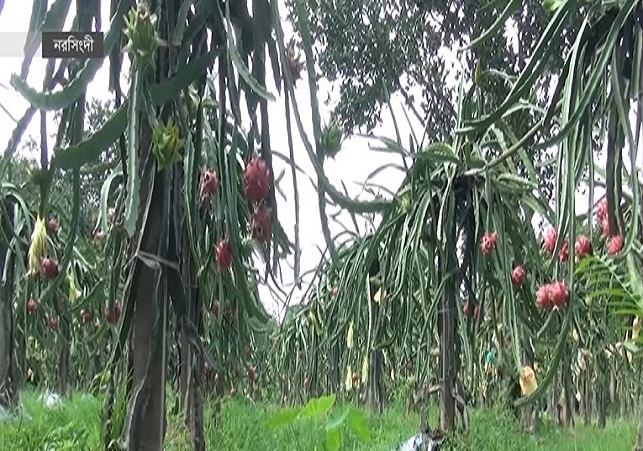 Biniyougbarta | বিনিয়োগবার্তা: ব্যবসা-বাণিজ্য, শিল্প-বিনিয়োগের খবর প্রতিদিন সবসময়