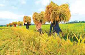 Biniyougbarta | বিনিয়োগবার্তা: ব্যবসা-বাণিজ্য, শিল্প-বিনিয়োগের খবর প্রতিদিন সবসময়