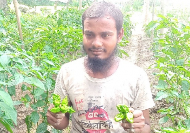 Biniyougbarta | বিনিয়োগবার্তা: ব্যবসা-বাণিজ্য, শিল্প-বিনিয়োগের খবর প্রতিদিন সবসময়