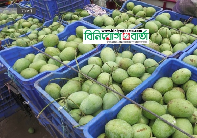 Biniyougbarta | বিনিয়োগবার্তা: ব্যবসা-বাণিজ্য, শিল্প-বিনিয়োগের খবর প্রতিদিন সবসময়