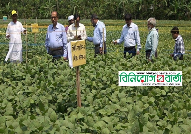 Biniyougbarta | বিনিয়োগবার্তা: ব্যবসা-বাণিজ্য, শিল্প-বিনিয়োগের খবর প্রতিদিন সবসময়