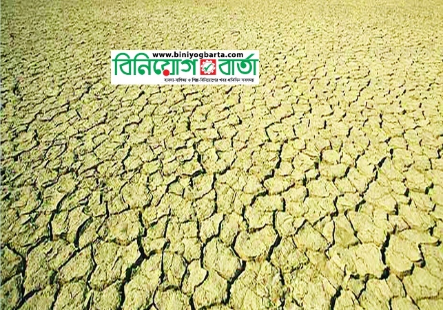 Biniyougbarta | বিনিয়োগবার্তা: ব্যবসা-বাণিজ্য, শিল্প-বিনিয়োগের খবর প্রতিদিন সবসময়