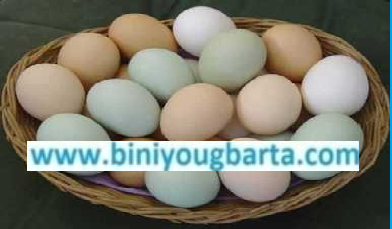 Biniyougbarta | বিনিয়োগবার্তা: ব্যবসা-বাণিজ্য, শিল্প-বিনিয়োগের খবর প্রতিদিন সবসময়