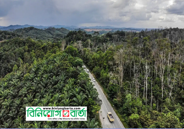 Biniyougbarta | বিনিয়োগবার্তা: ব্যবসা-বাণিজ্য, শিল্প-বিনিয়োগের খবর প্রতিদিন সবসময়