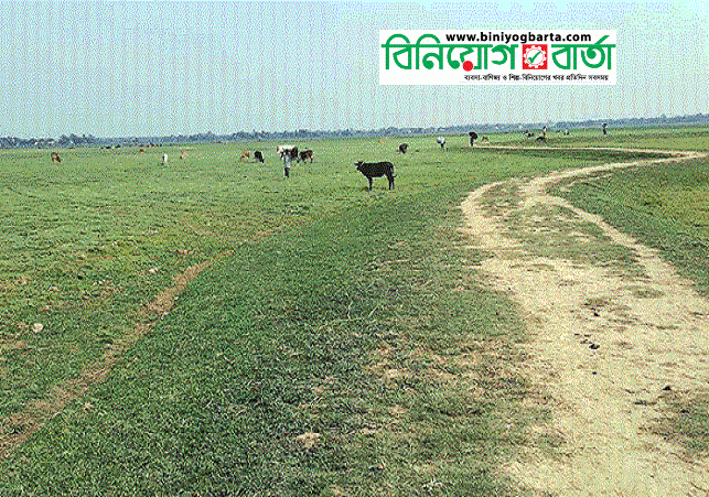 Biniyougbarta | বিনিয়োগবার্তা: ব্যবসা-বাণিজ্য, শিল্প-বিনিয়োগের খবর প্রতিদিন সবসময়
