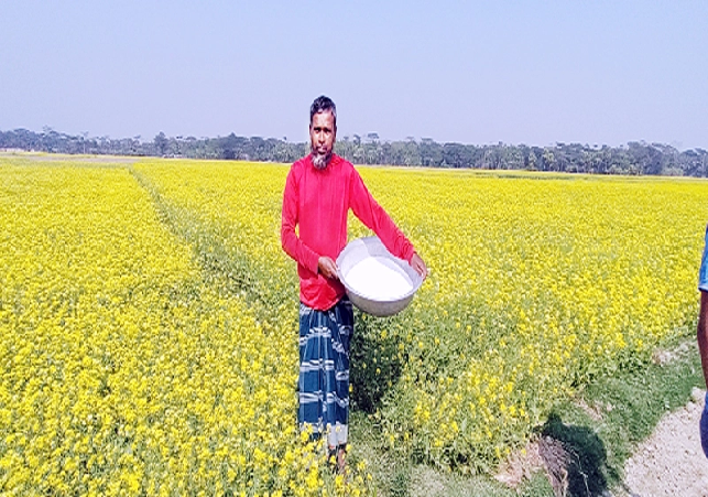 Biniyougbarta | বিনিয়োগবার্তা: ব্যবসা-বাণিজ্য, শিল্প-বিনিয়োগের খবর প্রতিদিন সবসময়