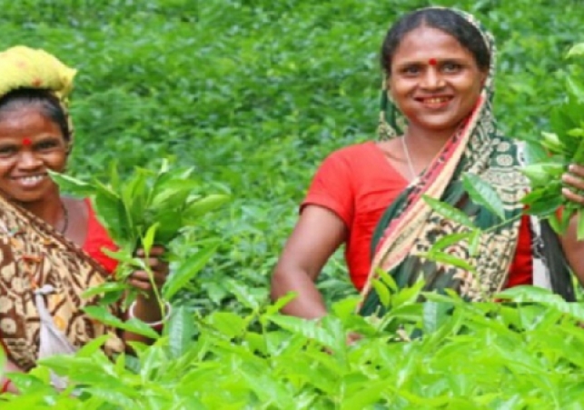 Biniyougbarta | বিনিয়োগবার্তা: ব্যবসা-বাণিজ্য, শিল্প-বিনিয়োগের খবর প্রতিদিন সবসময়