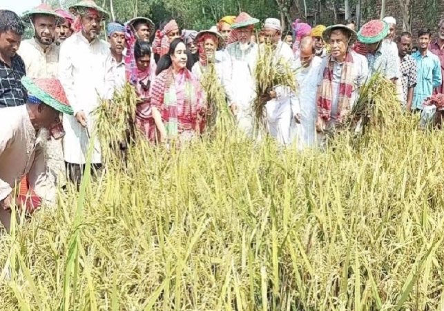 Biniyougbarta | বিনিয়োগবার্তা: ব্যবসা-বাণিজ্য, শিল্প-বিনিয়োগের খবর প্রতিদিন সবসময়