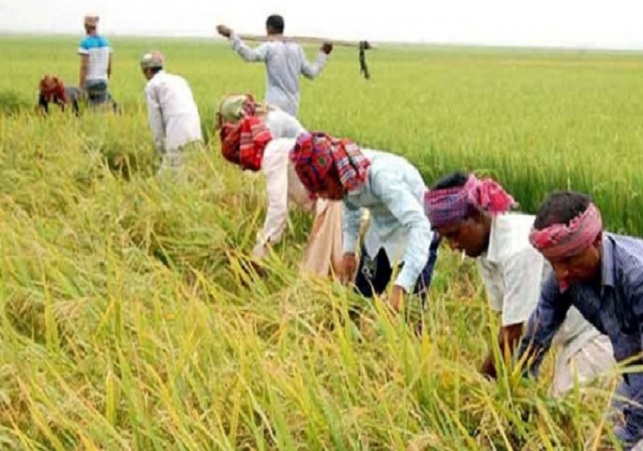 Biniyougbarta | বিনিয়োগবার্তা: ব্যবসা-বাণিজ্য, শিল্প-বিনিয়োগের খবর প্রতিদিন সবসময়