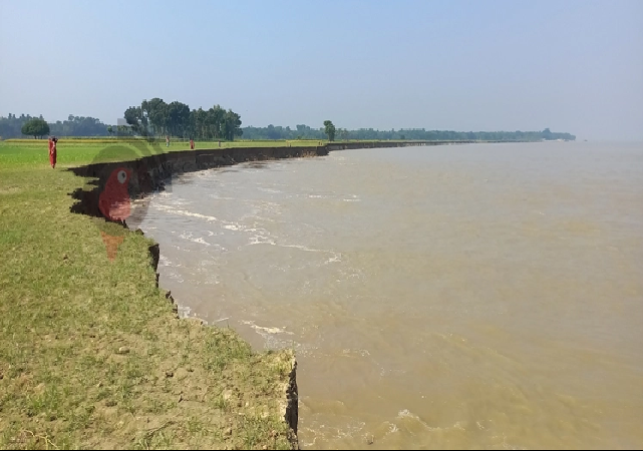 Biniyougbarta | বিনিয়োগবার্তা: ব্যবসা-বাণিজ্য, শিল্প-বিনিয়োগের খবর প্রতিদিন সবসময়