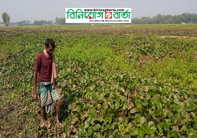 Biniyougbarta | বিনিয়োগবার্তা: ব্যবসা-বাণিজ্য, শিল্প-বিনিয়োগের খবর প্রতিদিন সবসময়