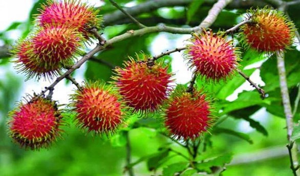 Biniyougbarta | বিনিয়োগবার্তা: ব্যবসা-বাণিজ্য, শিল্প-বিনিয়োগের খবর প্রতিদিন সবসময়