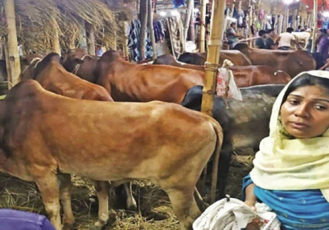 Biniyougbarta | বিনিয়োগবার্তা: ব্যবসা-বাণিজ্য, শিল্প-বিনিয়োগের খবর প্রতিদিন সবসময়