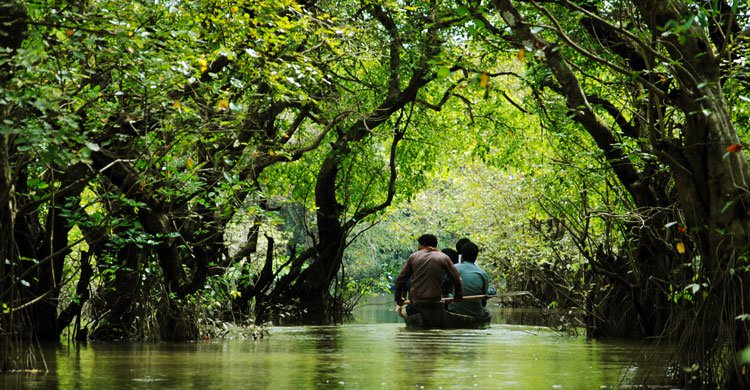 Biniyougbarta | বিনিয়োগবার্তা: ব্যবসা-বাণিজ্য, শিল্প-বিনিয়োগের খবর প্রতিদিন সবসময়