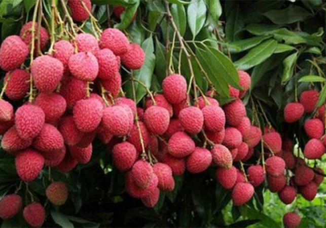 Biniyougbarta | বিনিয়োগবার্তা: ব্যবসা-বাণিজ্য, শিল্প-বিনিয়োগের খবর প্রতিদিন সবসময়