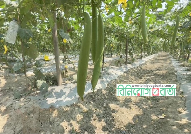 Biniyougbarta | বিনিয়োগবার্তা: ব্যবসা-বাণিজ্য, শিল্প-বিনিয়োগের খবর প্রতিদিন সবসময়
