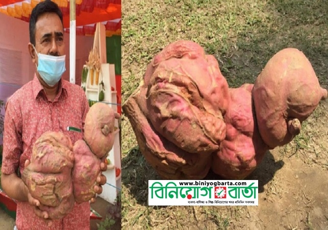 Biniyougbarta | বিনিয়োগবার্তা: ব্যবসা-বাণিজ্য, শিল্প-বিনিয়োগের খবর প্রতিদিন সবসময়