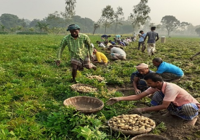 Biniyougbarta | বিনিয়োগবার্তা: ব্যবসা-বাণিজ্য, শিল্প-বিনিয়োগের খবর প্রতিদিন সবসময়
