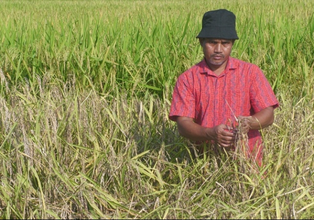 Biniyougbarta | বিনিয়োগবার্তা: ব্যবসা-বাণিজ্য, শিল্প-বিনিয়োগের খবর প্রতিদিন সবসময়