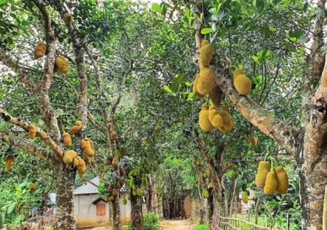 Biniyougbarta | বিনিয়োগবার্তা: ব্যবসা-বাণিজ্য, শিল্প-বিনিয়োগের খবর প্রতিদিন সবসময়