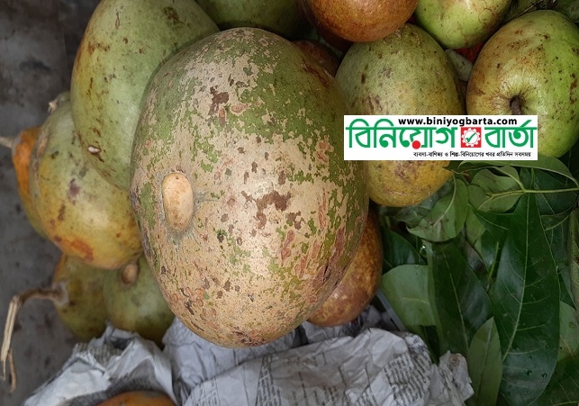 Biniyougbarta | বিনিয়োগবার্তা: ব্যবসা-বাণিজ্য, শিল্প-বিনিয়োগের খবর প্রতিদিন সবসময়