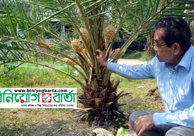 Biniyougbarta | বিনিয়োগবার্তা: ব্যবসা-বাণিজ্য, শিল্প-বিনিয়োগের খবর প্রতিদিন সবসময়