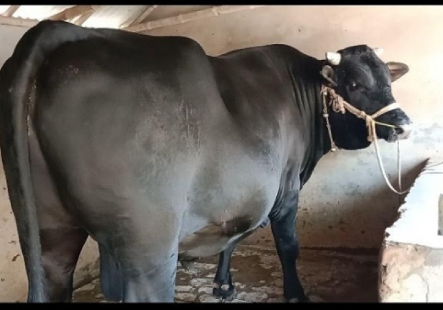 Biniyougbarta | বিনিয়োগবার্তা: ব্যবসা-বাণিজ্য, শিল্প-বিনিয়োগের খবর প্রতিদিন সবসময়