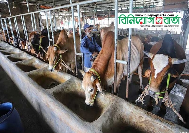 Biniyougbarta | বিনিয়োগবার্তা: ব্যবসা-বাণিজ্য, শিল্প-বিনিয়োগের খবর প্রতিদিন সবসময়
