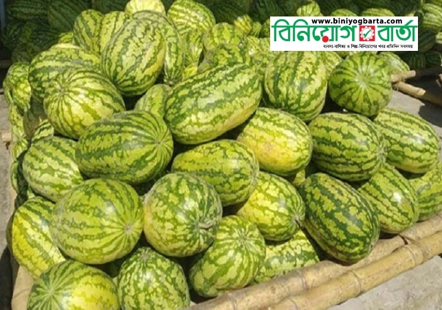 Biniyougbarta | বিনিয়োগবার্তা: ব্যবসা-বাণিজ্য, শিল্প-বিনিয়োগের খবর প্রতিদিন সবসময়