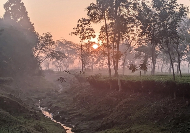 Biniyougbarta | বিনিয়োগবার্তা: ব্যবসা-বাণিজ্য, শিল্প-বিনিয়োগের খবর প্রতিদিন সবসময়