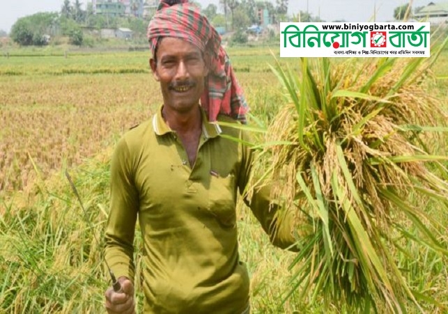 Biniyougbarta | বিনিয়োগবার্তা: ব্যবসা-বাণিজ্য, শিল্প-বিনিয়োগের খবর প্রতিদিন সবসময়