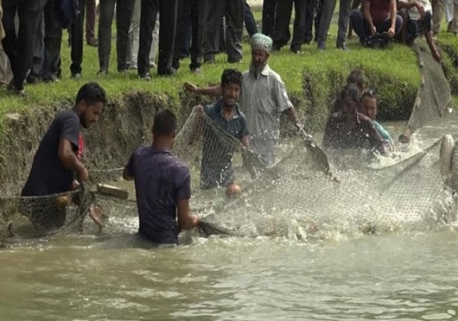 Biniyougbarta | বিনিয়োগবার্তা: ব্যবসা-বাণিজ্য, শিল্প-বিনিয়োগের খবর প্রতিদিন সবসময়