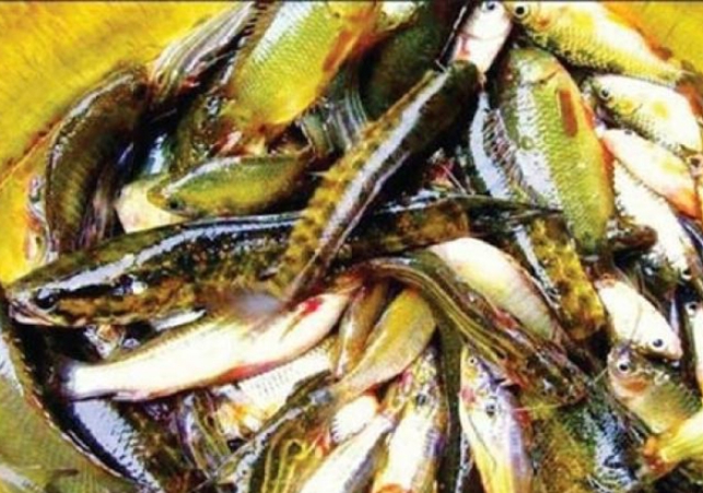 Biniyougbarta | বিনিয়োগবার্তা: ব্যবসা-বাণিজ্য, শিল্প-বিনিয়োগের খবর প্রতিদিন সবসময়