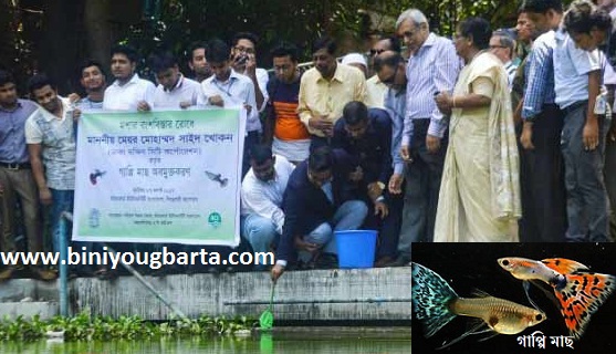 Biniyougbarta | বিনিয়োগবার্তা: ব্যবসা-বাণিজ্য, শিল্প-বিনিয়োগের খবর প্রতিদিন সবসময়