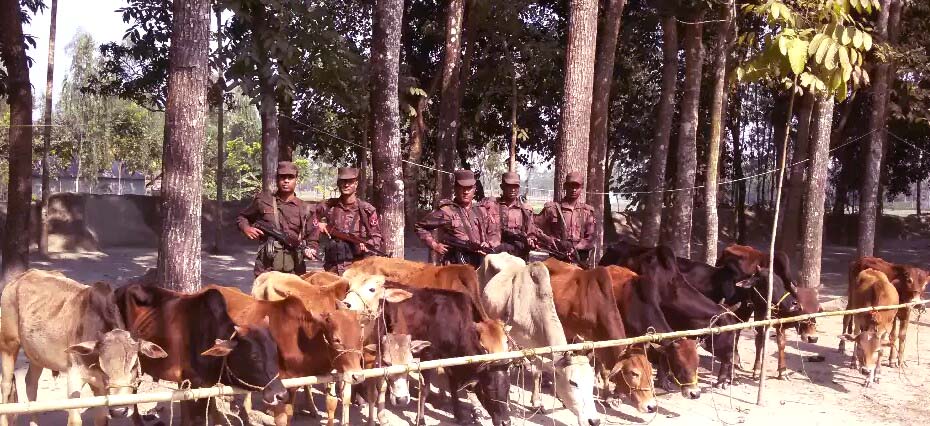 Biniyougbarta | বিনিয়োগবার্তা: ব্যবসা-বাণিজ্য, শিল্প-বিনিয়োগের খবর প্রতিদিন সবসময়
