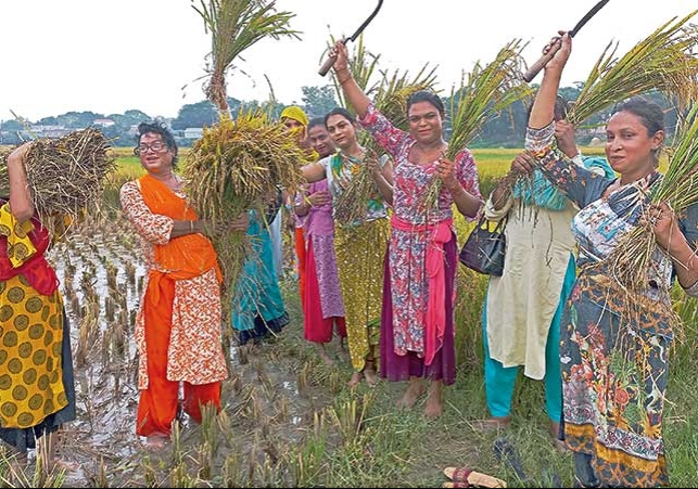 Biniyougbarta | বিনিয়োগবার্তা: ব্যবসা-বাণিজ্য, শিল্প-বিনিয়োগের খবর প্রতিদিন সবসময়