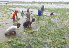 Biniyougbarta | বিনিয়োগবার্তা: ব্যবসা-বাণিজ্য, শিল্প-বিনিয়োগের খবর প্রতিদিন সবসময়