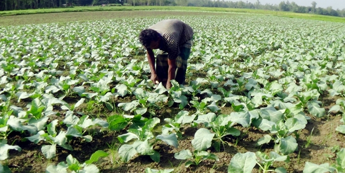 Biniyougbarta | বিনিয়োগবার্তা: ব্যবসা-বাণিজ্য, শিল্প-বিনিয়োগের খবর প্রতিদিন সবসময়