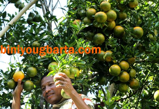 Biniyougbarta | বিনিয়োগবার্তা: ব্যবসা-বাণিজ্য, শিল্প-বিনিয়োগের খবর প্রতিদিন সবসময়