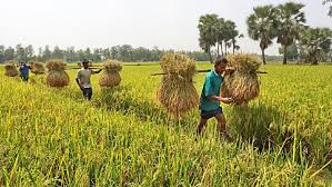 Biniyougbarta | বিনিয়োগবার্তা: ব্যবসা-বাণিজ্য, শিল্প-বিনিয়োগের খবর প্রতিদিন সবসময়